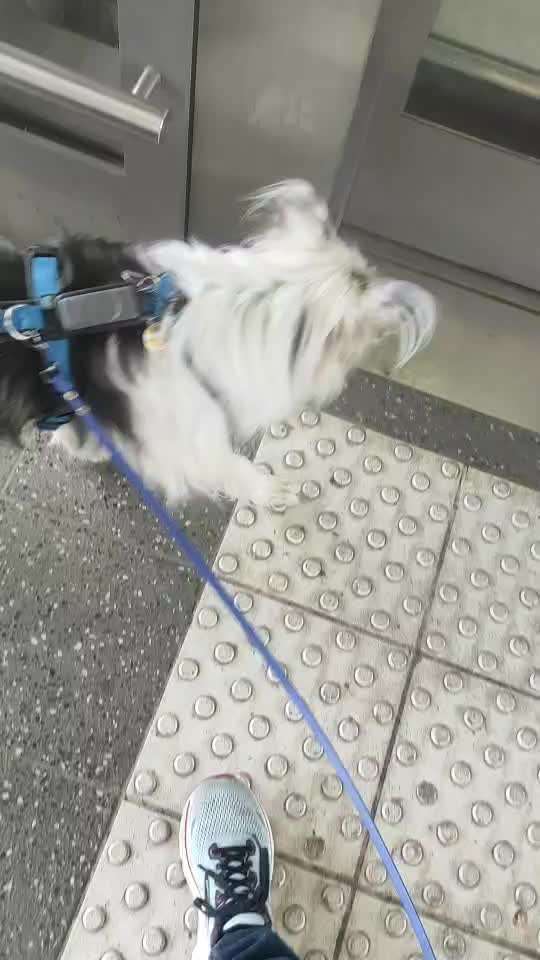 28.Imulskontrollübung             ,,Fahrstuhl fahren ,,-Beitrag-Bild