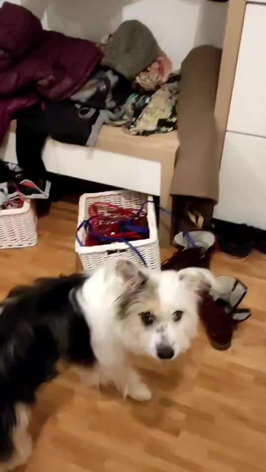 Trick Challenge NR 22 "Ziehen"-Beitrag-Bild