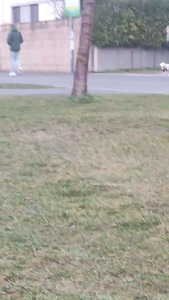 Was hat euch heute genervt?-Beitrag-Bild