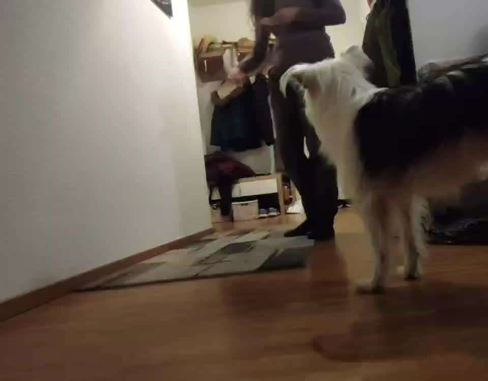 Koffer Packen: Spezial Weihnachtsedition-Beitrag-Bild