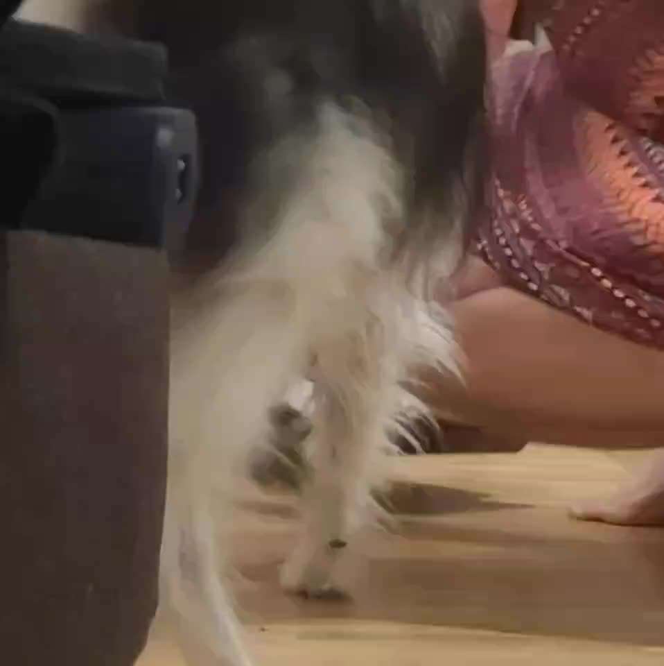 Aufbau Medical Training-Beitrag-Bild