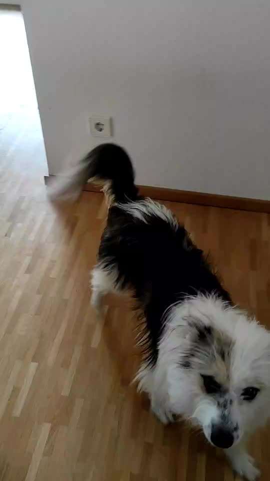 Trick Challenge ABC-Beitrag-Bild