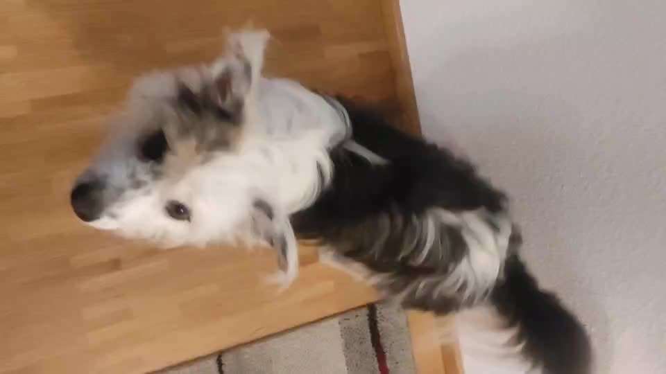 Trick Challenge ABC-Beitrag-Bild