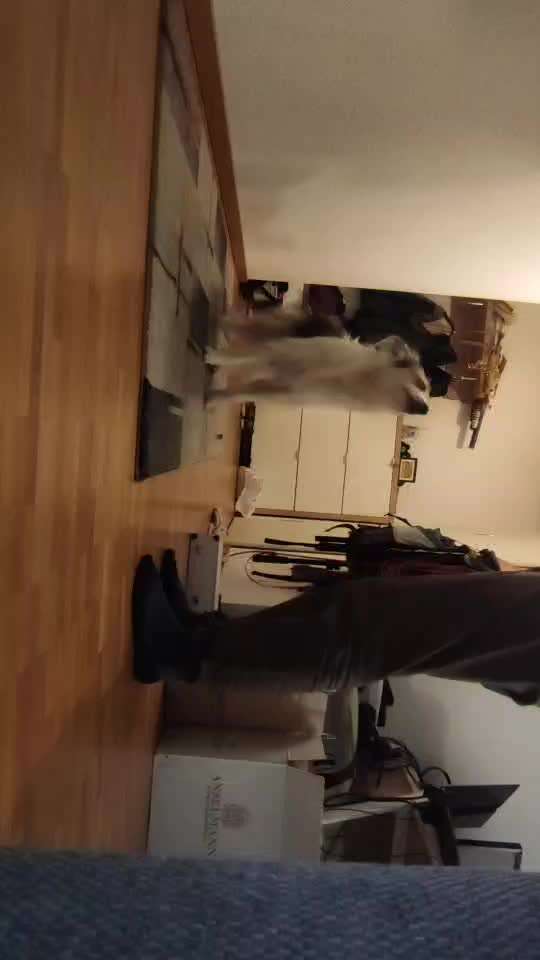 Veteranenzone - Koffer packen für fortgeschrittene-Beitrag-Bild