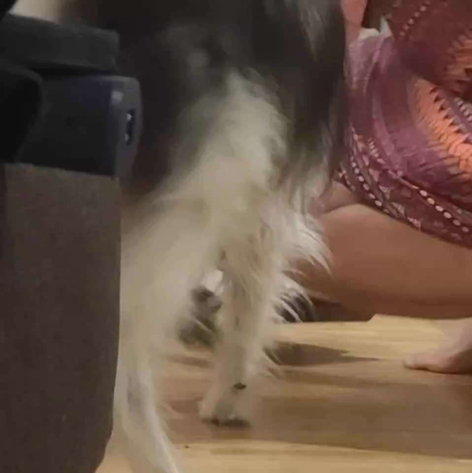 36. Impulskontrollübung-Beitrag-Bild