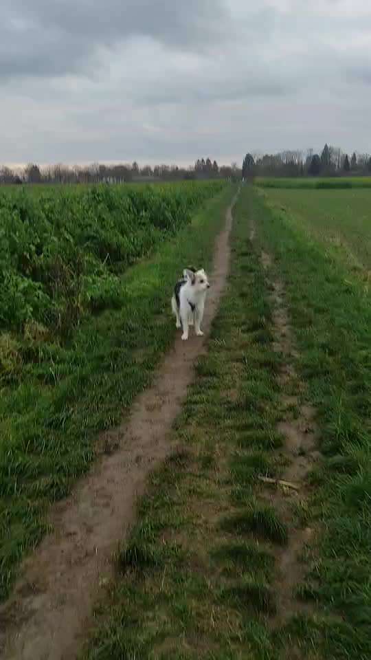 Gemeinsame Impulkontrolle Übung Nr.24-Beitrag-Bild