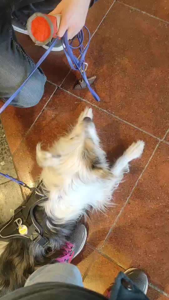 Impulskontrolle Challenge Nr.: 7
         "Gesellschaftsfähig"-Beitrag-Bild