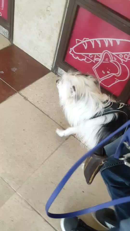 Impulskontrolle Challenge Nr.: 7
         "Gesellschaftsfähig"-Beitrag-Bild