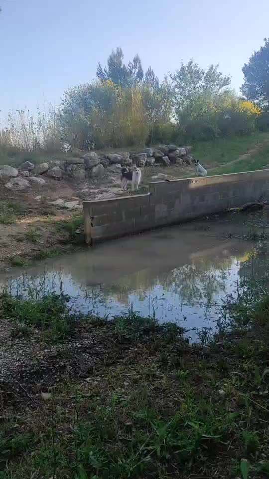 Analyse & Interpretation von Verhalten-Beitrag-Bild