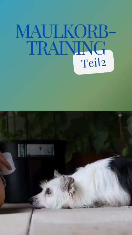 49. Impulskontrolle Challenge: Anziehen-Beitrag-Bild