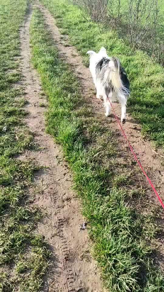 Trick Challenge ABC-Beitrag-Bild