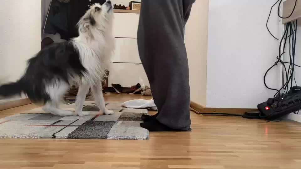 25. Handy Foto Challenge-Beitrag-Bild