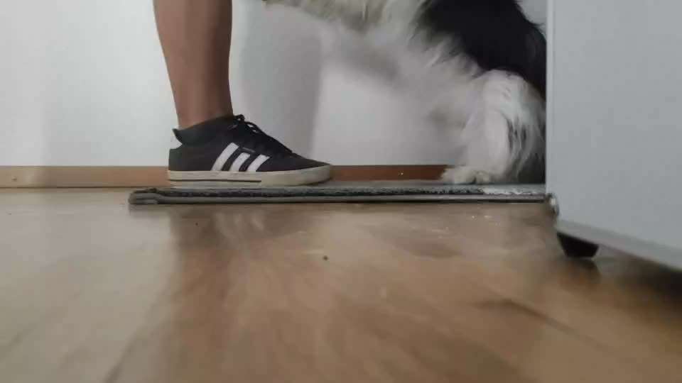 37. Trick-Challenge: Pinguin-Lauf-Beitrag-Bild