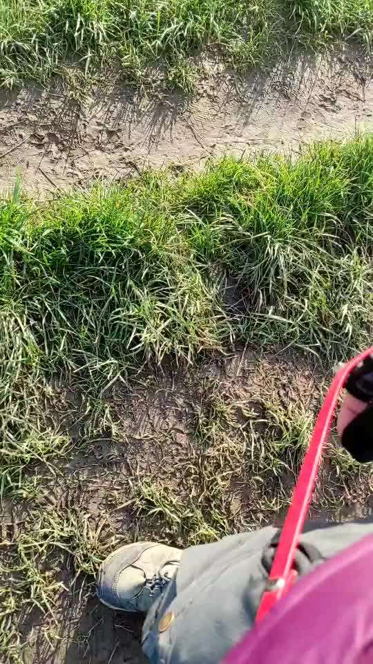 Trick Challenge ABC-Beitrag-Bild