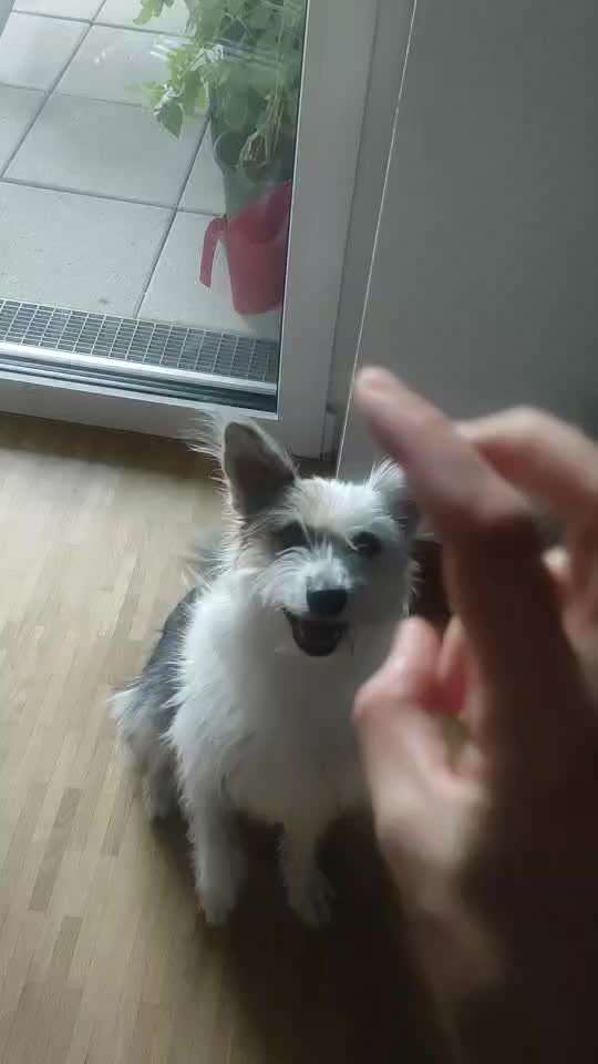 Trick Challenge ABC-Beitrag-Bild