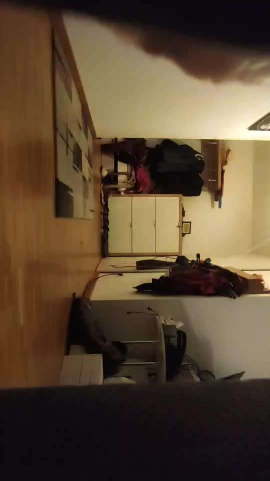 Trick Spiel - Koffer packen - der 18.-Beitrag-Bild