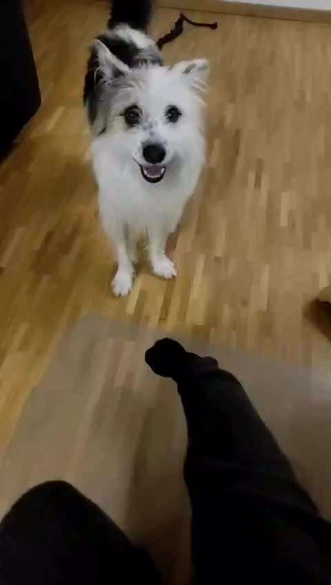 Trick Challenge ABC-Beitrag-Bild