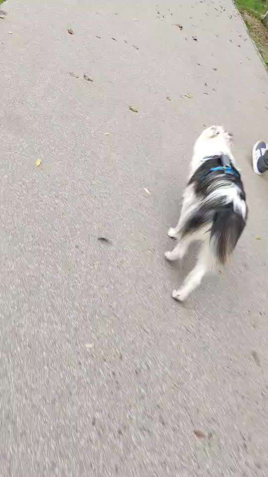 Gangbild/-analyse-Beitrag-Bild