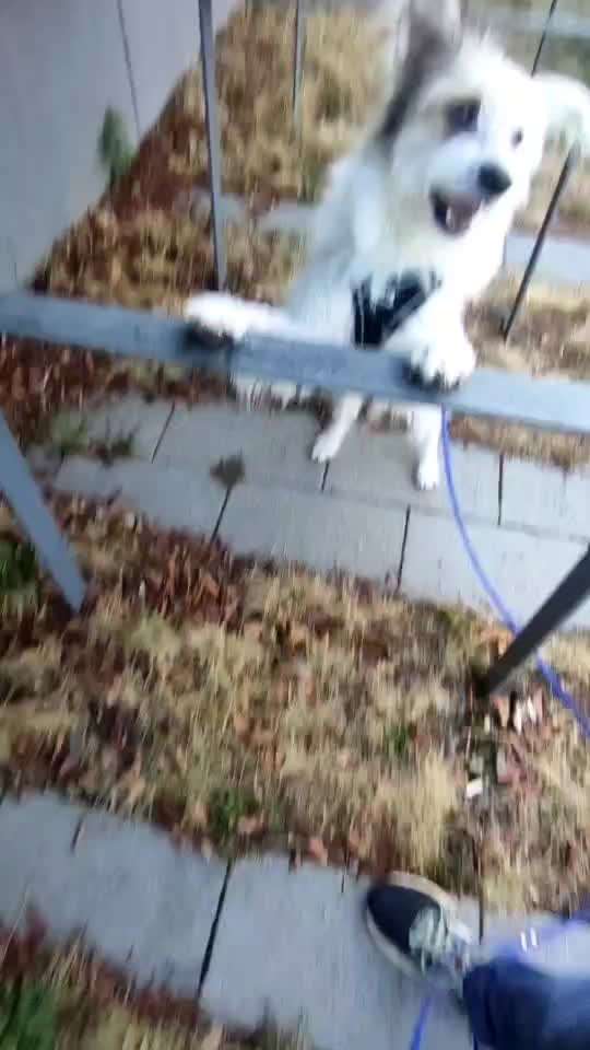 Trick Challenge ABC-Beitrag-Bild