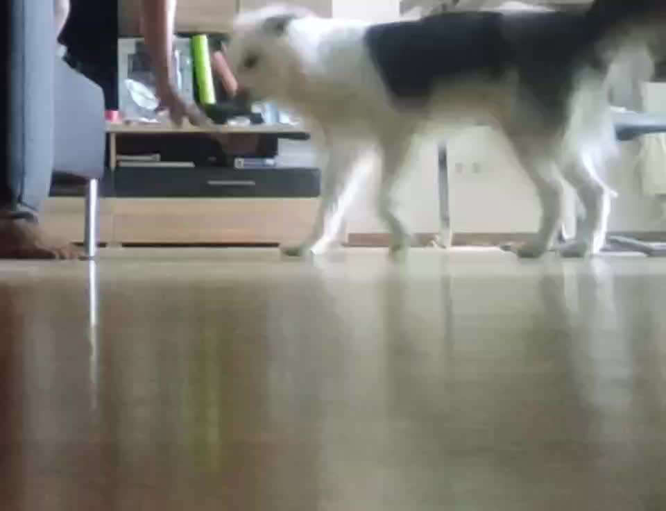 Trick Challenge - ich packe meinen Koffer-Beitrag-Bild