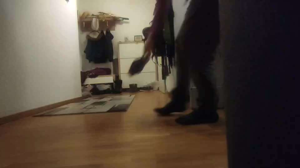 44.Tricktraining ,, Pfote auf Target,,-Beitrag-Bild