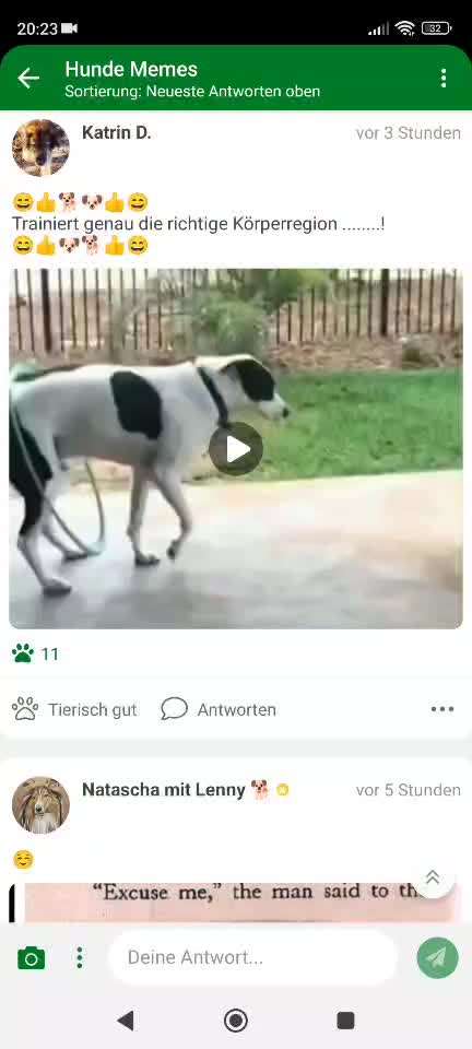 Hunde Memes-Beitrag-Bild