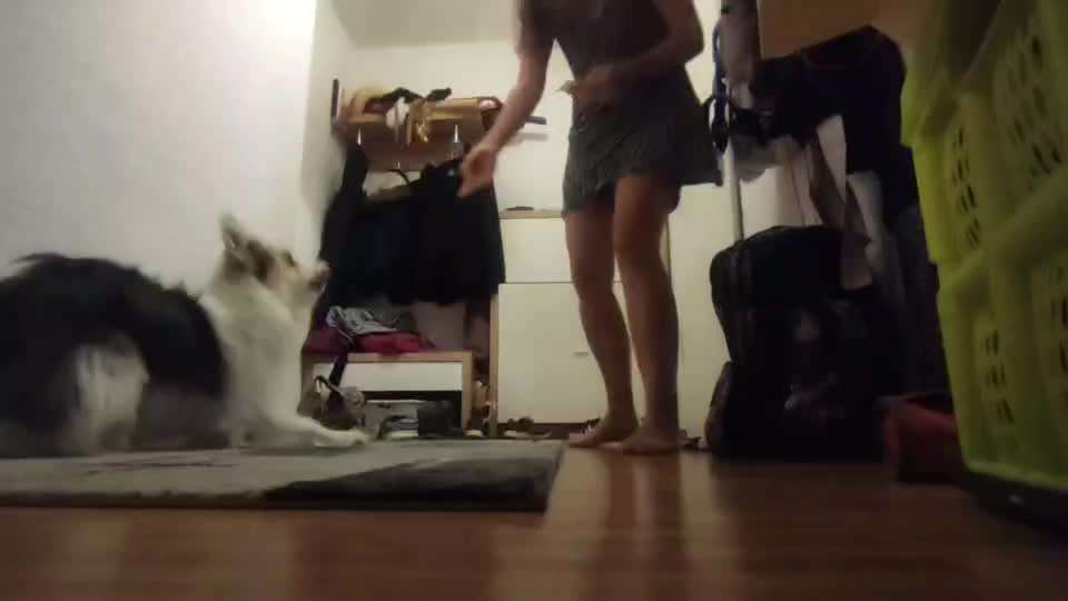 Veteranenzone - Koffer packen für fortgeschrittene-Beitrag-Bild