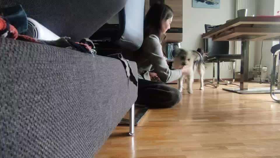 Trick Challenge ABC-Beitrag-Bild