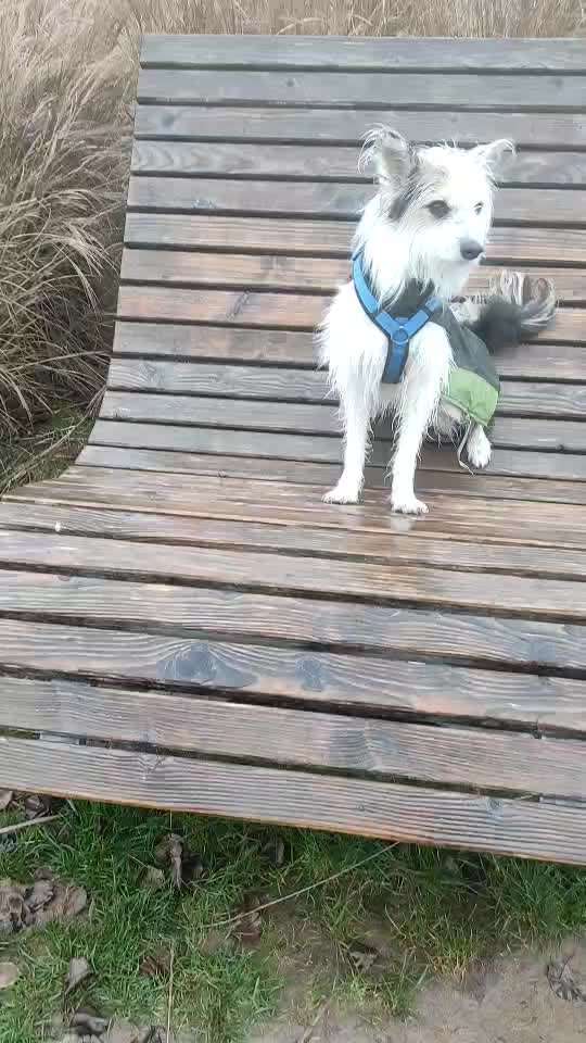 Gemeinsame Impulkontrolle Übung Nr.24-Beitrag-Bild