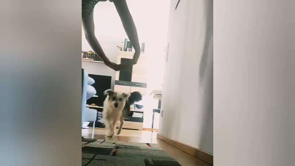 Trick Challenge ABC-Beitrag-Bild