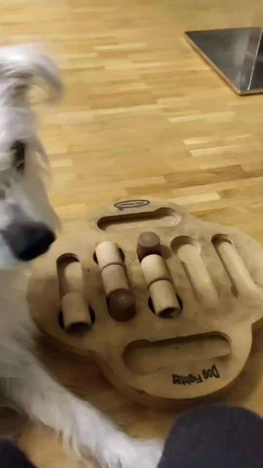 Solide gute Beschäftigungszahl Toys-Beitrag-Bild