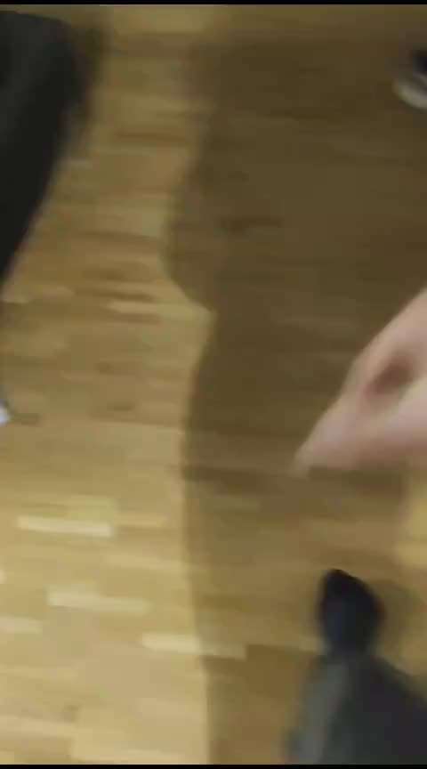 44.Tricktraining ,, Pfote auf Target,,-Beitrag-Bild