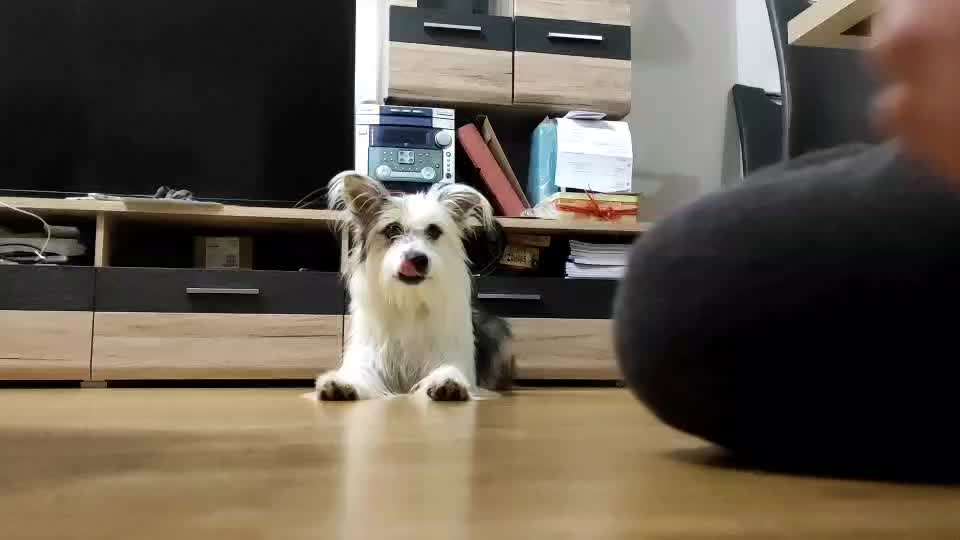 Trick Challenge ABC-Beitrag-Bild