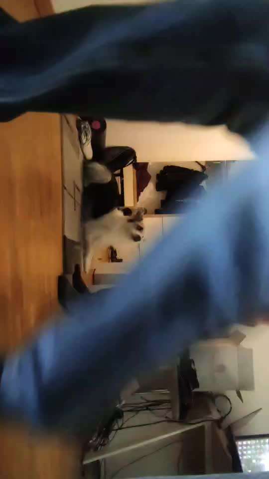 Trick Spiel - Koffer packen -der 22.-Beitrag-Bild