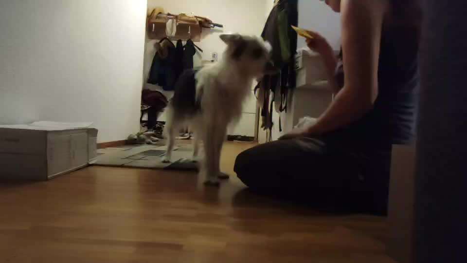 Koffer Packen: Spezial Weihnachtsedition-Beitrag-Bild