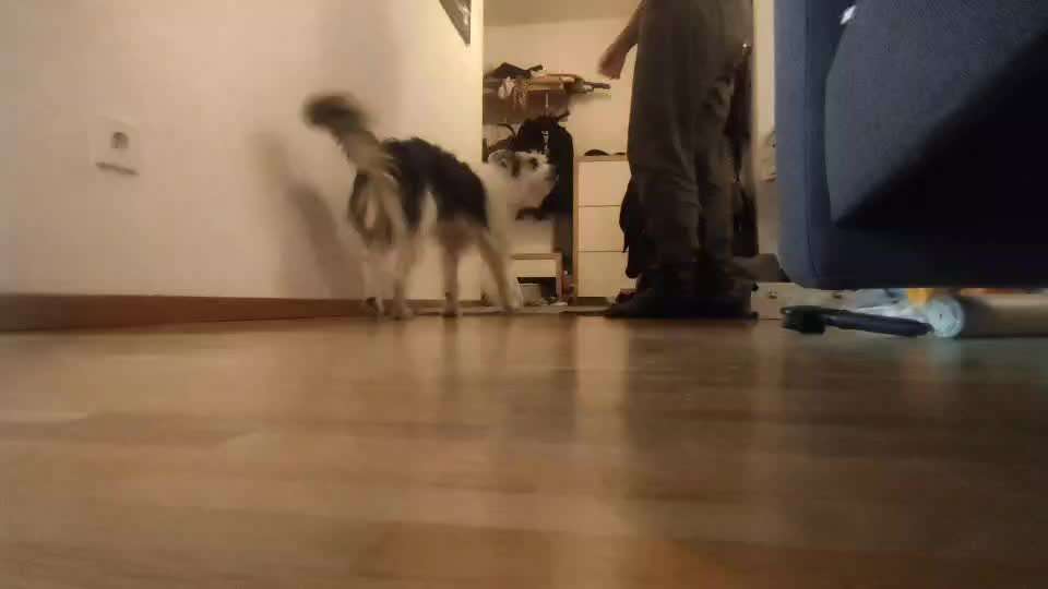 Veteranenzone - Koffer packen für fortgeschrittene-Beitrag-Bild