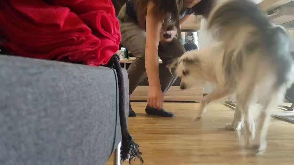 36. Impulskontrollübung-Beitrag-Bild