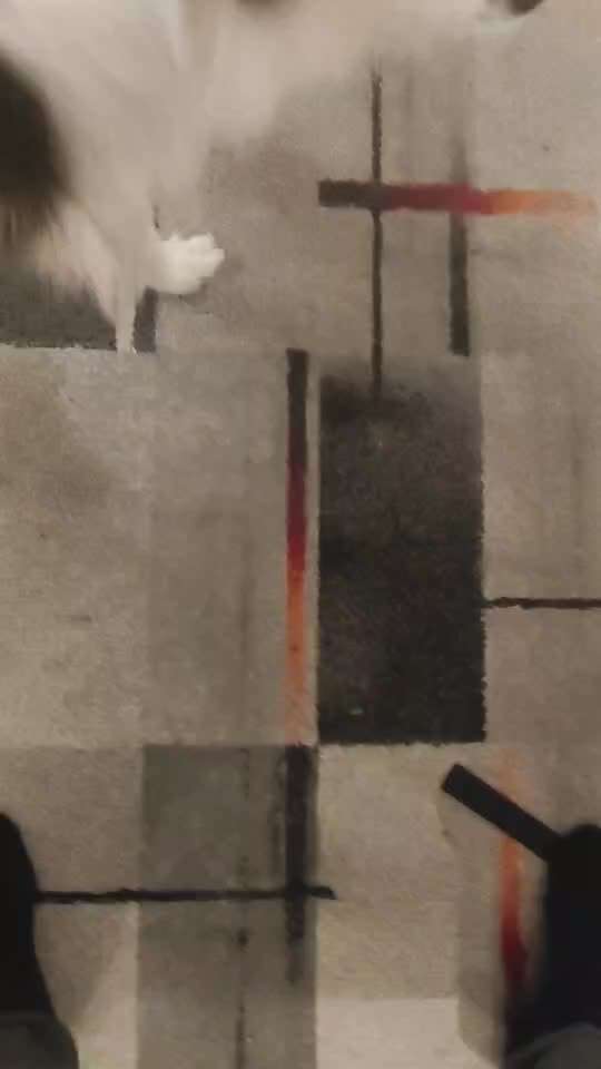 47. Rückwärts Einparken-Beitrag-Bild