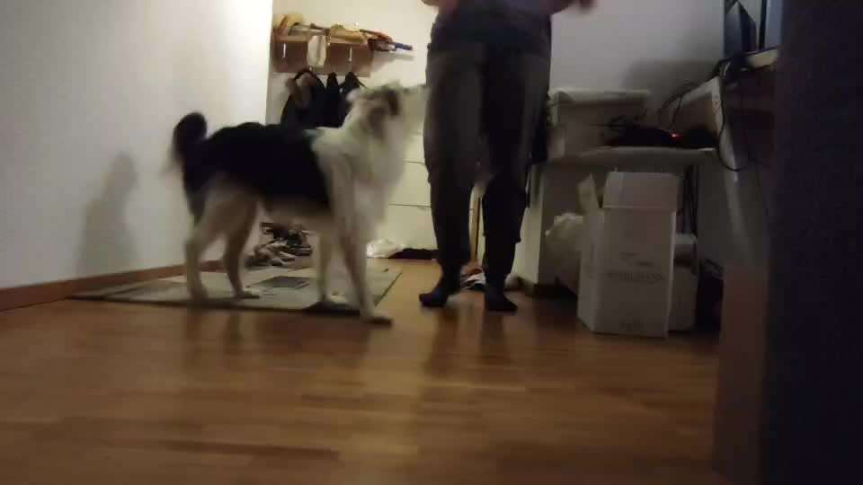 Koffer Packen: Spezial Weihnachtsedition-Beitrag-Bild