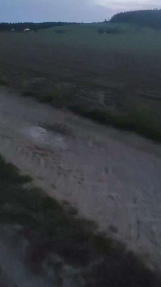 TierschutzhundeStammtisch🐕-Beitrag-Bild