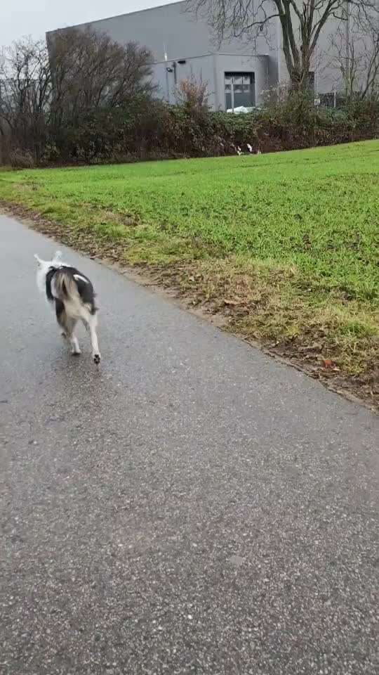 Nr. 64 Selbstständig warten zum Einleinen-Beitrag-Bild