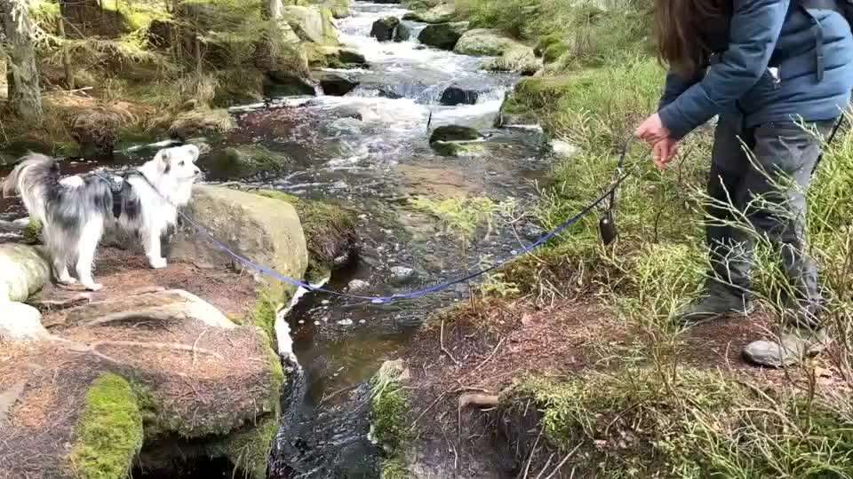 Handy Video Challenge Nr. 38 - Drüber springen-Beitrag-Bild