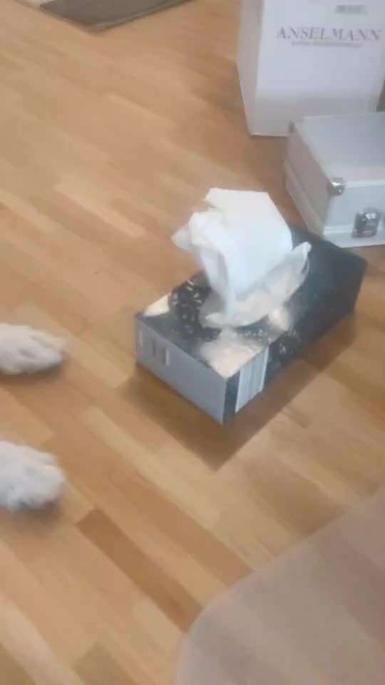 48. Papiertücher ziehen und bringen-Beitrag-Bild