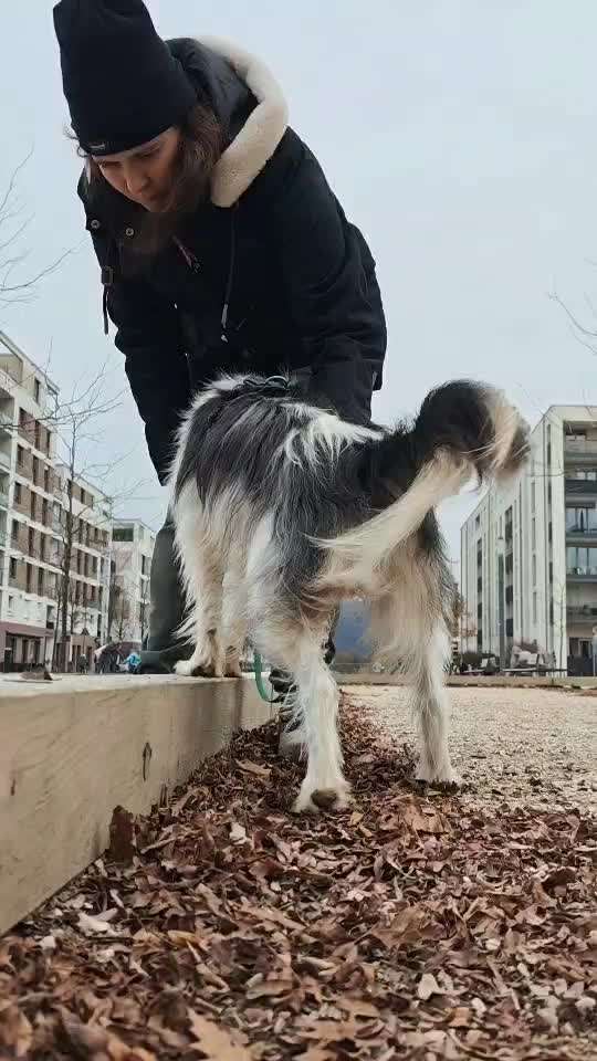 80. Trickspiel Balancieren-Beitrag-Bild