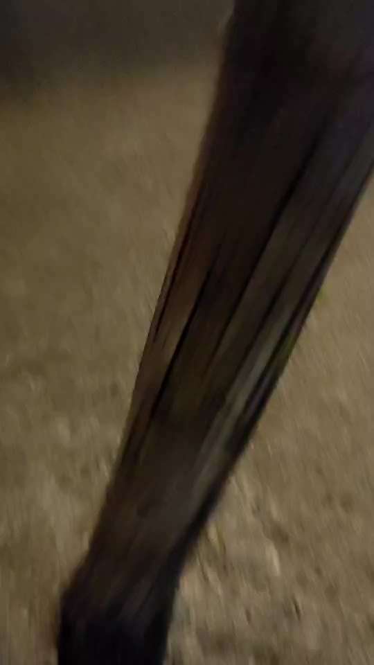 Trick Challenge ABC-Beitrag-Bild