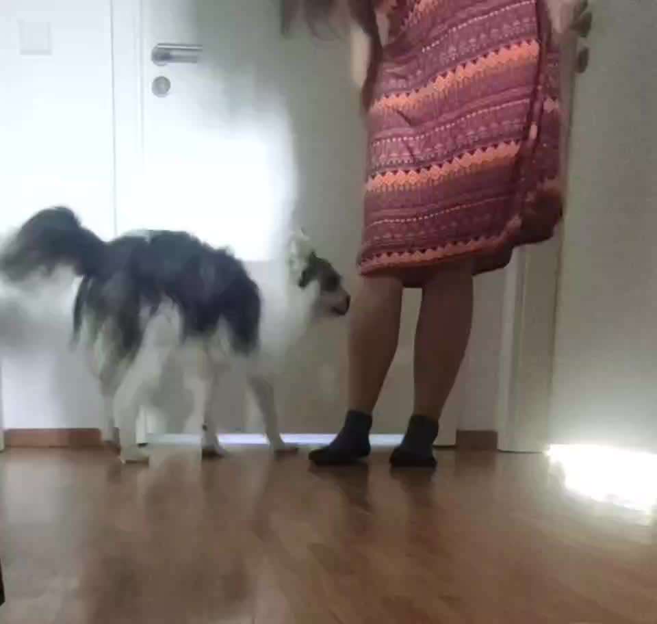 Trick Challenge Nr. 29 ,,TWIST"-Beitrag-Bild