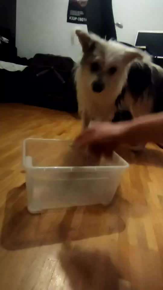 Trick Challenge ABC-Beitrag-Bild