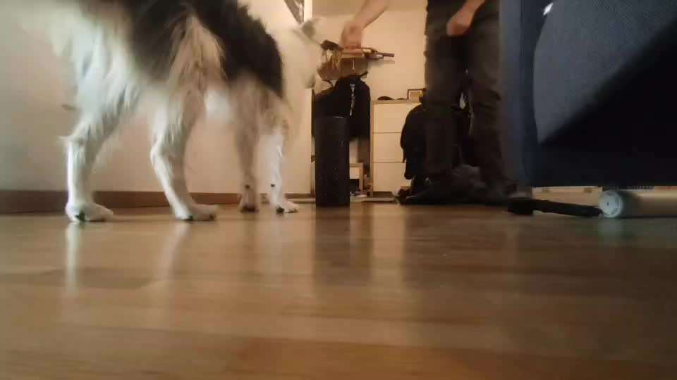 Veteranenzone - Koffer packen für fortgeschrittene-Beitrag-Bild