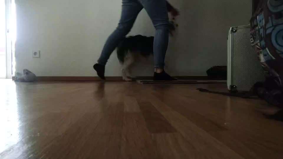 Trick Challenge Nr. 28: Slalom rückwärts-Beitrag-Bild