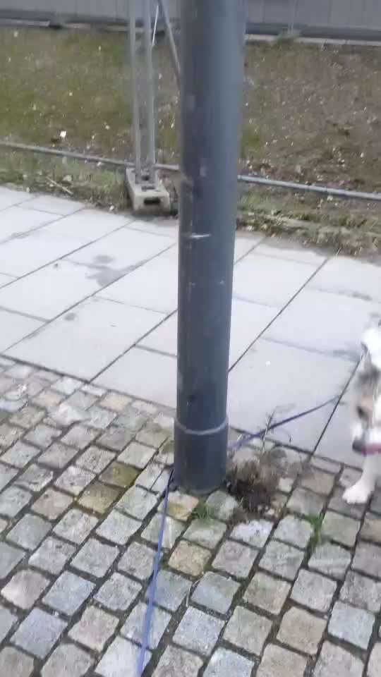 Trick Challenge ABC-Beitrag-Bild